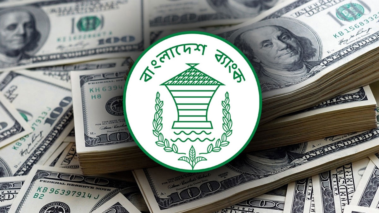 doler-20240627223643-20241124181400-20250126180610-20250406180638-20250622203813-20250727180818