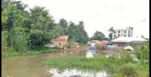 WhatsApp Image 2025-08-06 at 23.19.19_2658dedf