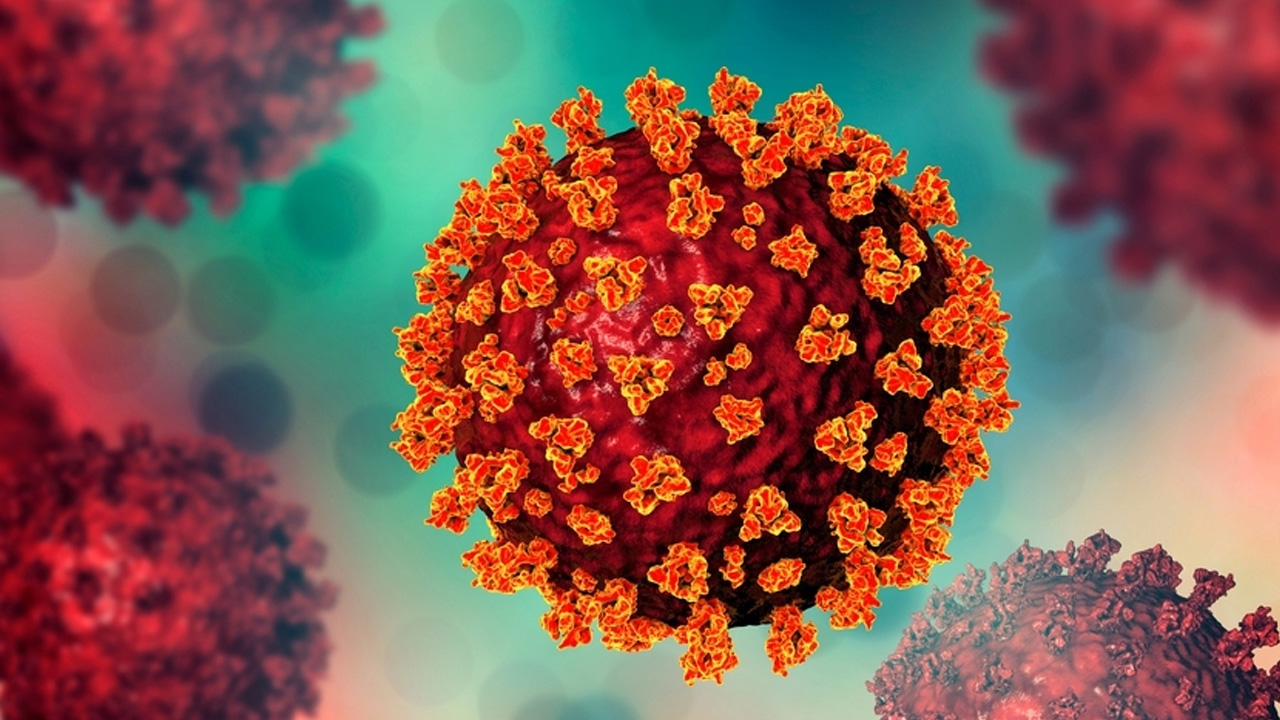 corona-202507130722131-20250801171617