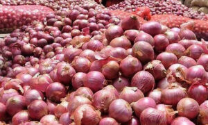 1765033203-fb94e5a9159b9696b60a5a88e310bcb1