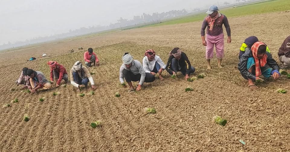 602338013_1172687068182024_49260392800771193_n (1)